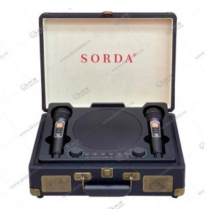 Караоке система с двумя радиомикрофонами SORDA (SDRD) SD-2109 Black