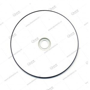 Диск RIDATA DVD-R 16X 4.7GB Full inkjet print (уп,100шт)