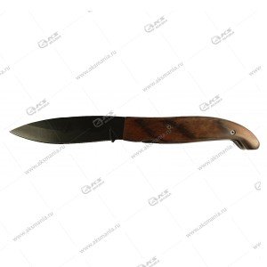 Нож 9202/TD648-A5 (20см)