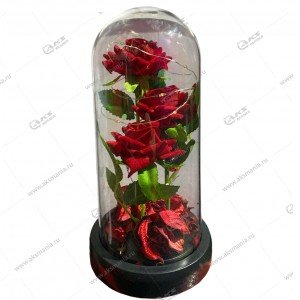 Светильник-ночник "Розы под куполом" WG-26, 3*ААА, USB, бордовый