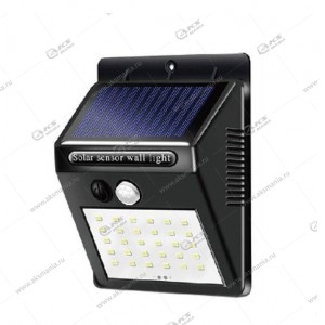 Автономный уличный светодиодный светильник BL-SL30LED  с датчиком движения